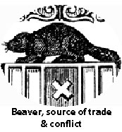 beaver2_020909-W.jpg